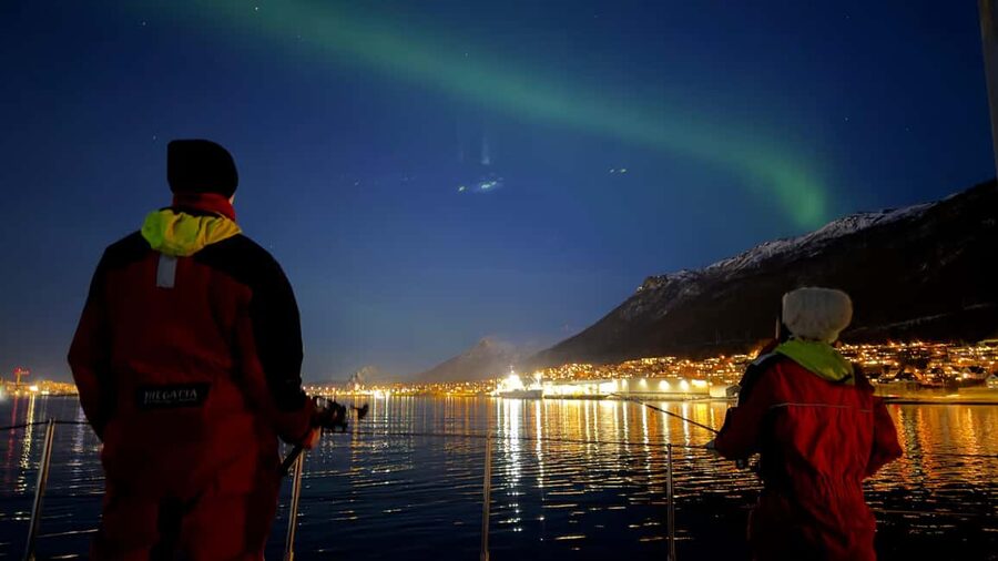 Tromsø: Nocturnal cod fishing with meal. - Gear Rotation and Real Instruction: The System Works
