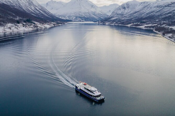 Tromsø, Northern Lights and Wilderness Evening Catamaran Cruise - What is included, what is not, and how to pack like a local