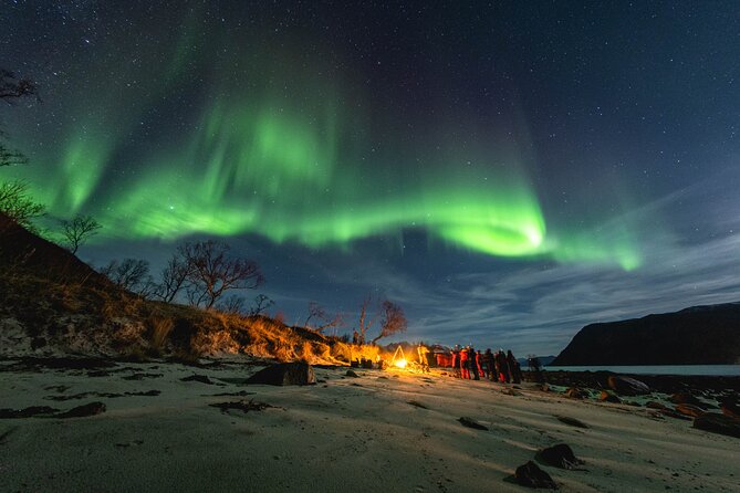 Tromsø: Northern Lights by Minibus - Free Photos and Warm Dinner - Key things I’d zero in on
