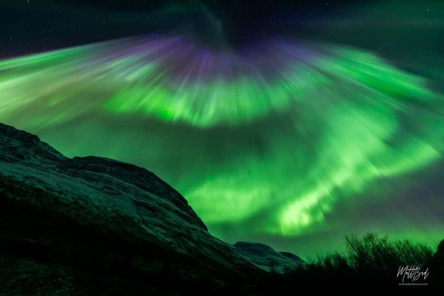 Tromsø: Northern Lights Chase with Expert Guides & Photos - Wilderness viewing stops: why waiting is usually the payoff