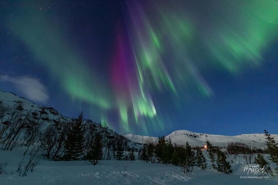 Tromsø: Northern Lights Chase with Expert Guides & Photos - Hot drinks, cookies, and the campfire moment that turns a trip social
