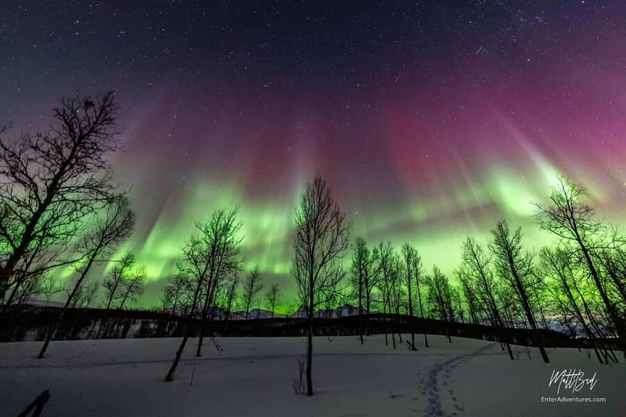 Tromsø: Northern Lights Chase with Expert Guides & Photos - Who this tour fits best in Tromsø