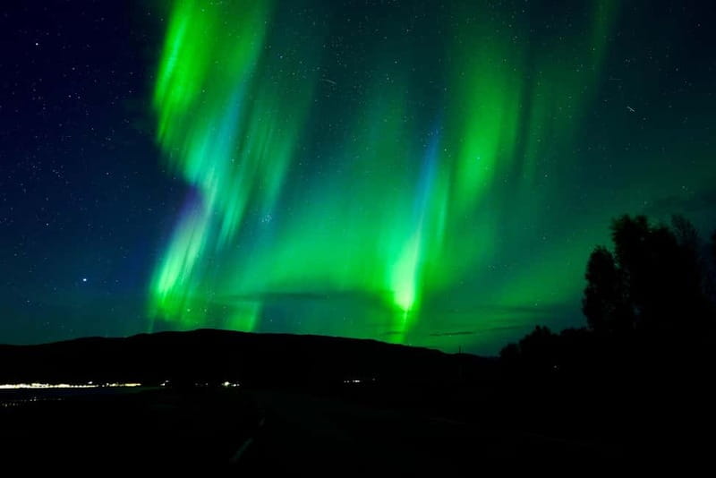 Tromsø: Northern Lights Chase with Local Guide & Free Photos - Key Takeaways