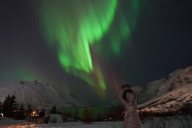 Tromsø: Northern Lights Chase with Local Guide & Free Photos - Staying warm: thermal suit, hot drinks, and the real timing of cold