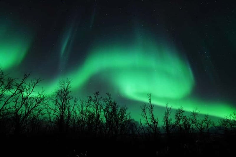 Tromsø: Northern Lights Chase with Local Guide & Free Photos - Small group chase and transport that goes where the big buses can’t
