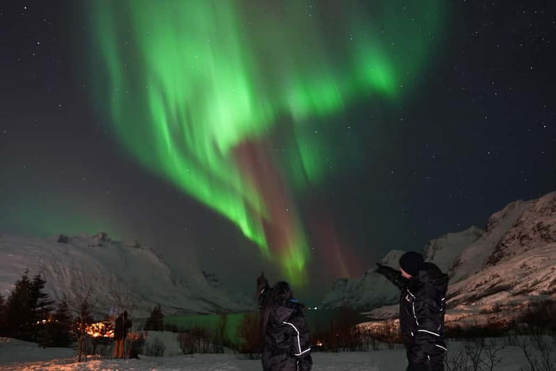 Tromsø: Northern Lights Chase with Local Guide & Free Photos - Price and value at about $136 per person for 7 hours