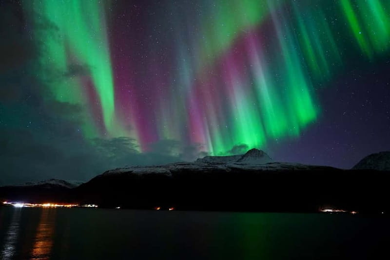 Tromsø: Northern Lights Chase with Local Guide & Free Photos - The Aurora forecast check that keeps the night honest