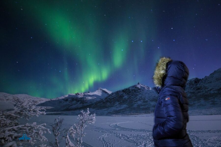 Tromso: Northern Lights Chase with Photo Package Included - Photography tips you can use right away, plus the included souvenir photos