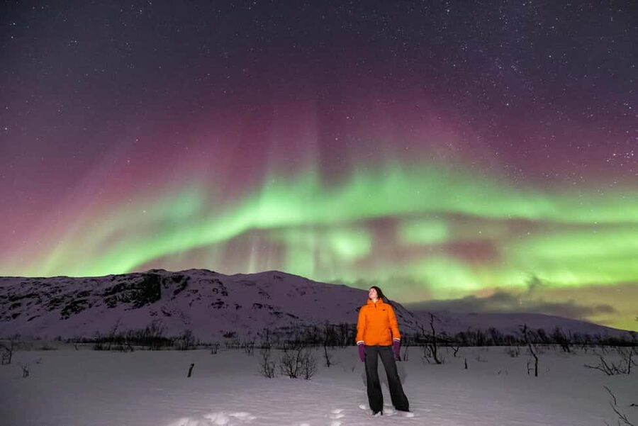 Tromsø: Northern Lights Chase with Photos and Guide - Price and value of $162: what you’re really paying for