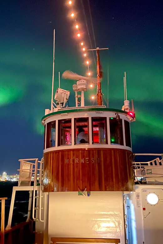 Tromsø: Northern Lights Dinner Cruise - Should you book the Hermes II Northern Lights Dinner Cruise?