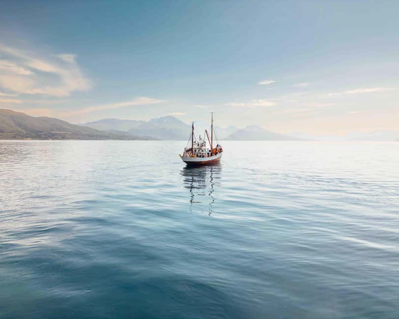 Tromsø: Northern Lights Dinner Cruise - Why this Tromsø cruise feels more like coastal life than a ride