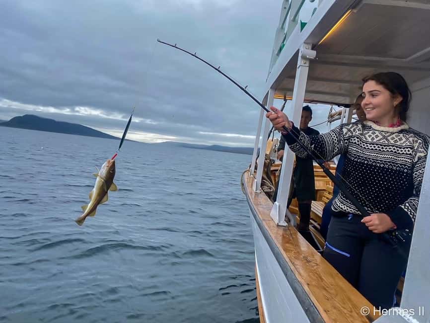 Tromsø: Northern Lights Dinner Cruise - The 3-course fish dinner from Dragøy (and why it tastes like Tromsø)