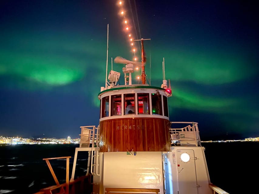 Tromsø: Northern Lights Dinner Cruise - Comfort details that actually help (not just nice to have)