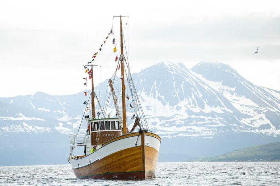 Tromsø: Northern Lights Dinner Cruise - Price and value: what you’re really paying for at $198