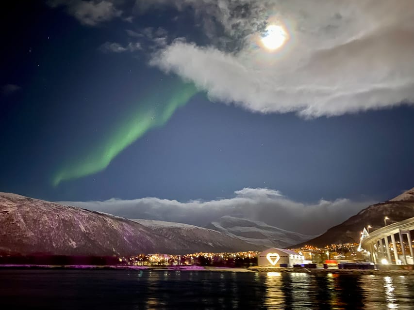 Tromsø: Northern Lights Dinner Cruise - Who should book this cruise, and who might want to skip it