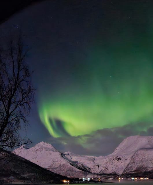 Tromsø: Northern Lights Hunt. Local Guide and Basecamp. - Starting at Magic Ice Bar, Then Trading Neon for Night Sky