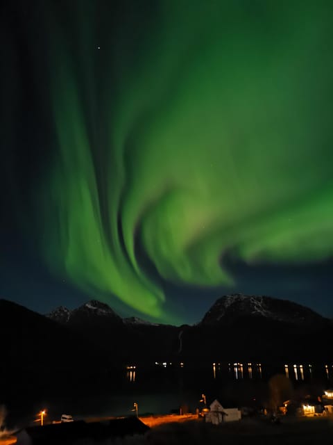 Tromsø: Northern Lights Hunt. Local Guide and Basecamp. - Price and Logistics: Does $199 Make Sense?