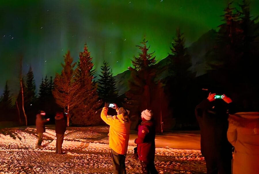Tromsø: Northern Lights Hunt. Local Guide and Basecamp. - The 1-Hour Minibus Ride, and Why You Want Someone Driving