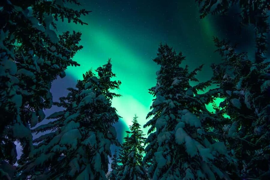 Tromsø: Northern Lights Hunt with a Professional Photographer in Spanish - The campfire dinner in the Arctic is more than a warm-up