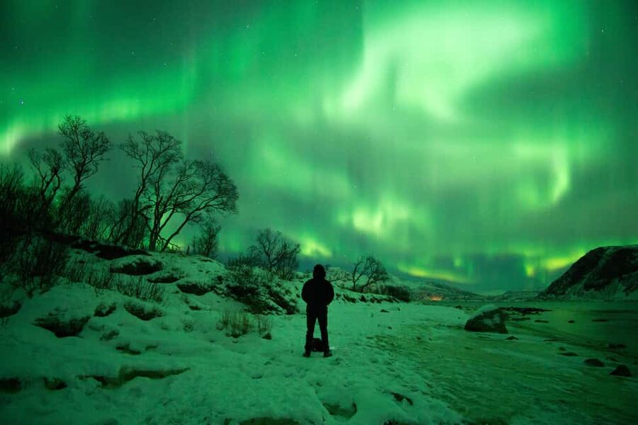 Tromsø: Northern Lights Hunt with a Professional Photographer in Spanish - The pro photographer and the camera coaching work together