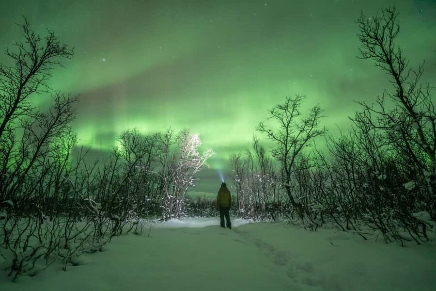 Tromsø: Northern Lights Hunt with Photos and Hot Food - Who this suits best, and who should skip it