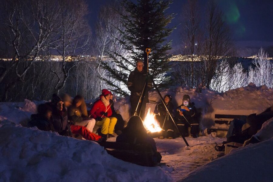 Tromsø: Northern Lights Husky Visit with Traditional Dinner - Getting There From Radisson Blu: Timing That Matters