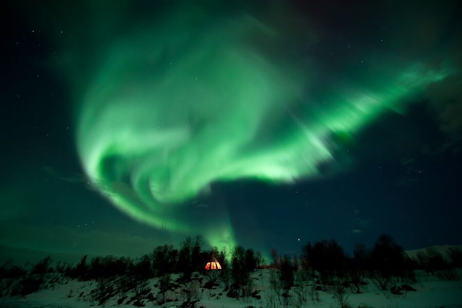 Tromsø: Northern Lights Husky Visit with Traditional Dinner - Cuddling 200 Alaskan Huskies and Meeting Puppies Up Close