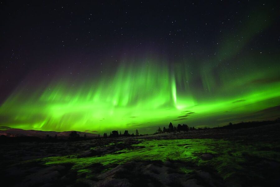 Tromsø: Northern Lights Husky Visit with Traditional Dinner - Price and Value for $187: What You’re Actually Paying For