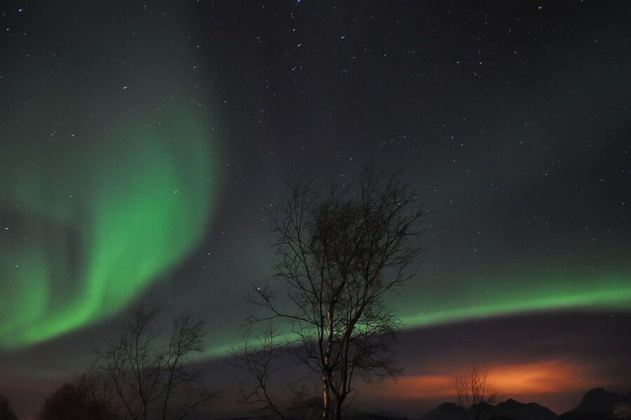 Tromsø: Northern Lights Husky Visit with Traditional Dinner - Thermal Suits, Lavvo Waiting, and How the Night Flows