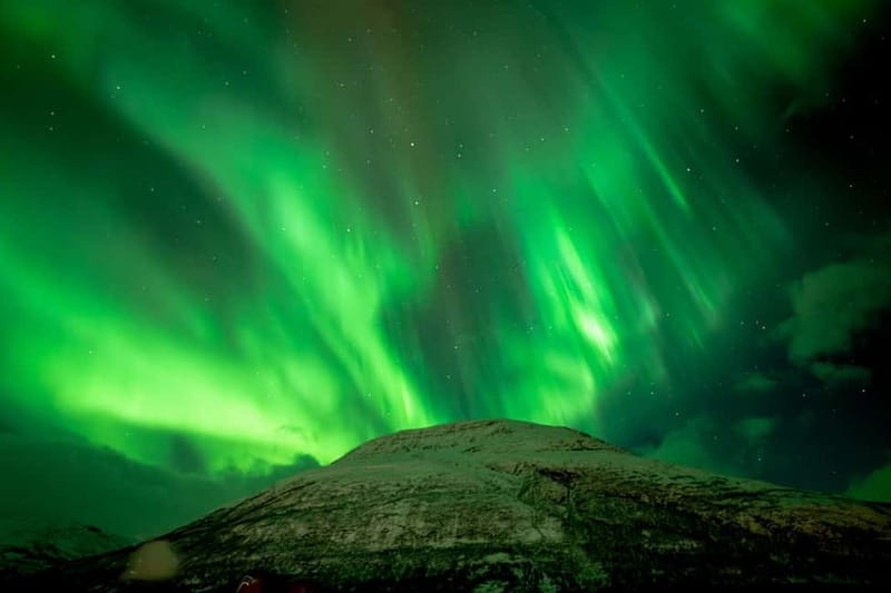 Tromsø: Northern Lights in a Minivan with Free Photos and a Hot Meal - Who This Tour Suits Best (and Who Might Want to Skip)