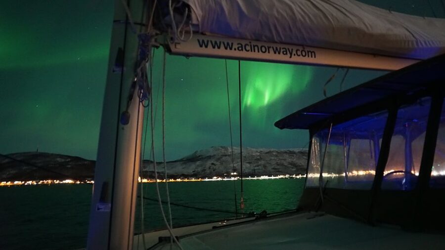 Tromsø: Northern Lights Luxury Catamaran Cruise - Key things to know before you go