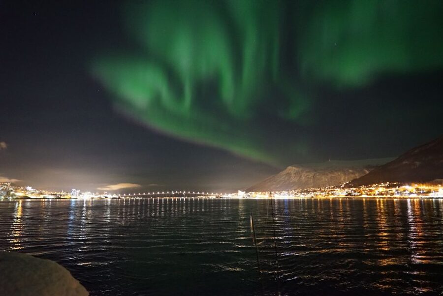 Tromsø: Northern Lights Luxury Catamaran Cruise - The return to Tromsø and the fish soup finish