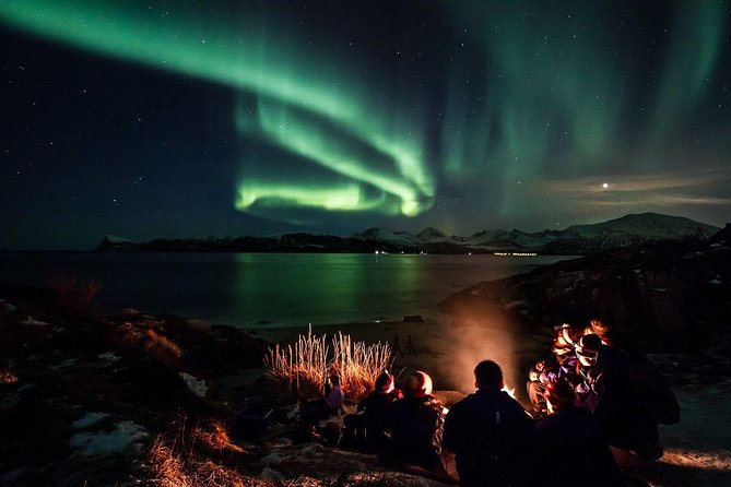 Tromso Northern Lights Minibus Chase Small Group Tour with Photos - Tromso Northern Lights Minibus Chase: what you’re really buying
