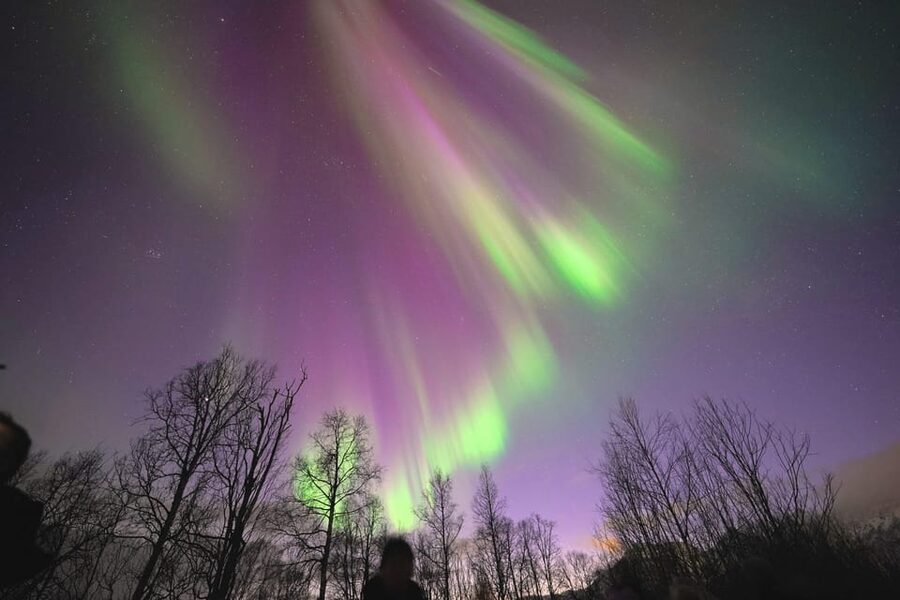 Tromso: Northern Lights Minibus Tour with Campfire - Why this Tromsø minibus chase feels better than waiting