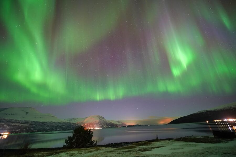 Tromso: Northern Lights Minibus Tour with Campfire - The campfire break: sausages, marshmallows, and cookies that actually help