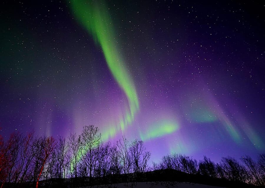 Tromso: Northern Lights Minibus Tour with Campfire - How the route adapts, and why the Finland border can matter