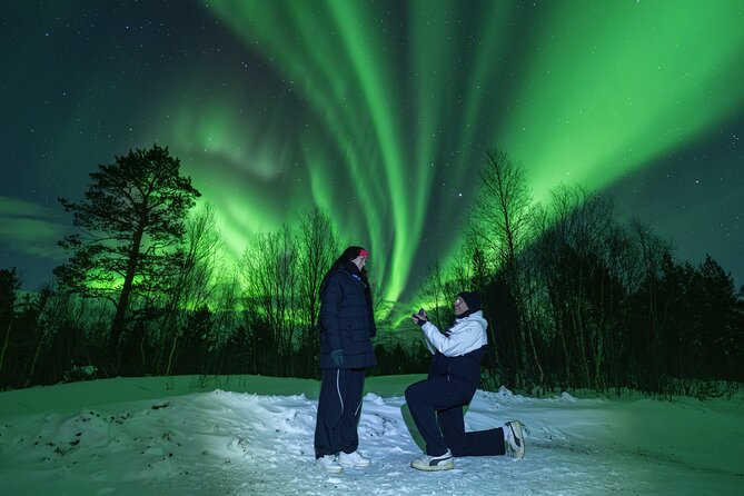 Tromsø: Northern Lights Minibus Tour with Expert Guides - Key highlights you will feel on the night
