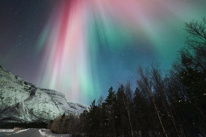 Tromsø: Northern Lights Minibus Tour with Expert Guides - Price and value: is $139.98 worth a 5 to 7 hour aurora hunt?