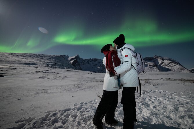 Tromsø: Northern Lights Minibus Tour with Expert Guides - Weather rules and refunds: the one thing you cannot control