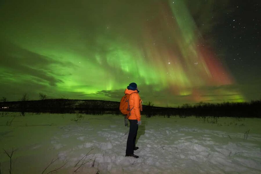 Tromsø: Northern Lights Minibus Tour with Local Experts - Storgata 44 to the chase zones: how the 6-hour rhythm works