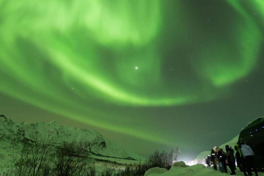 Tromsø: Northern Lights Minibus Tour with Local Experts - Why the guide and driver choices make or break the night
