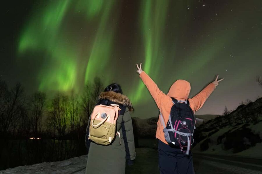 Tromsø: Northern Lights Minibus Tour with Local Experts - What to wear so you do not cut the experience short
