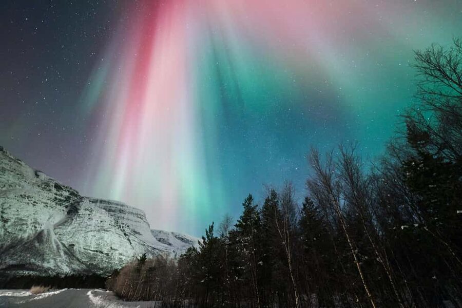 Tromsø: Northern Lights Minibus Tour with Local Experts - Price and value at $116 for 6 hours