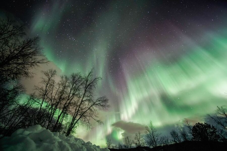 Tromsø: Northern Lights Pioneer Tour with Photos Included - Price and Value: Is $165 Reasonable for This Night?