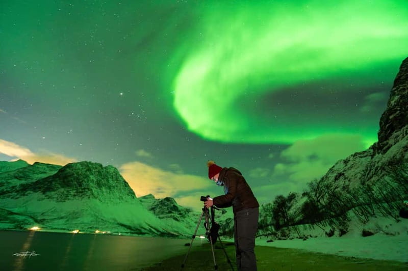 Tromsø: Northern Lights Safari with Expert Guides and Photos - Who this tour is best for, and who might want a different night