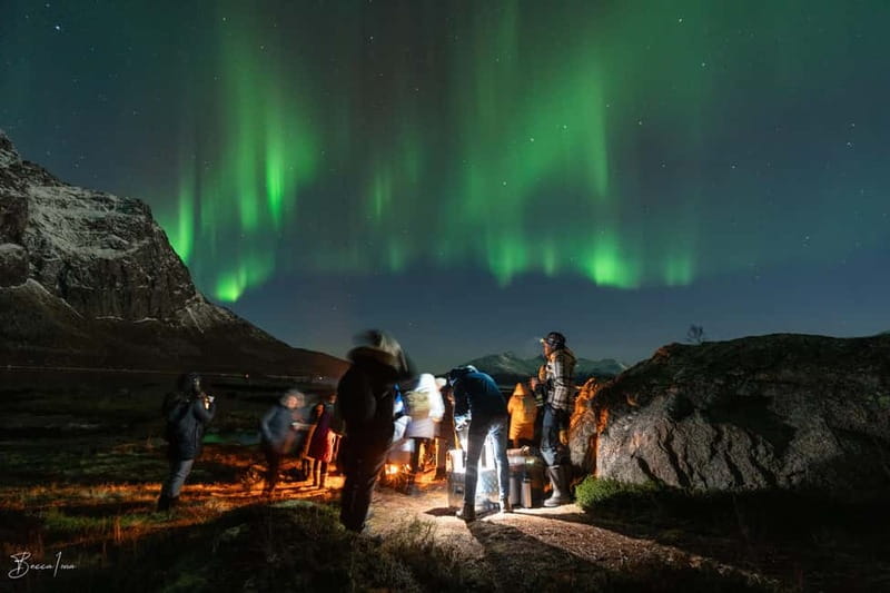 Tromsø: Northern Lights Safari with Expert Guides and Photos - Northern Lights in Tromsø, the way this safari is built