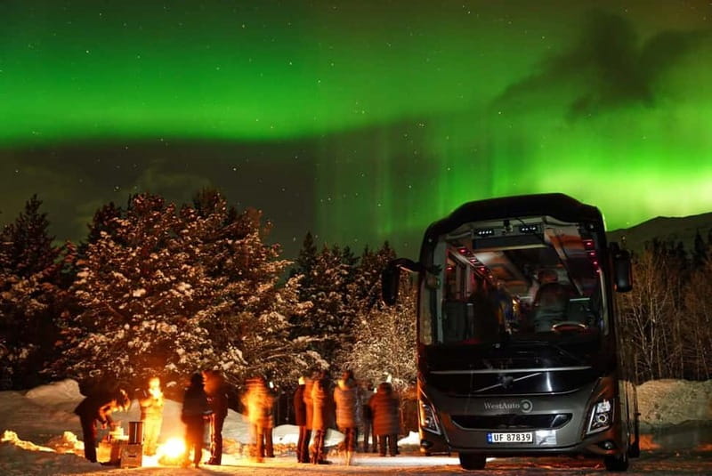 Tromsø: Northern Lights Safari with Expert Guides and Photos - When the Aurora appears: how guides handle the moment