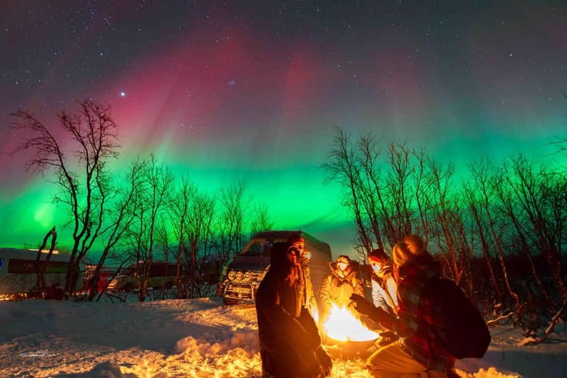 Tromsø: Northern Lights Safari with Expert Guides and Photos - Bonfire and Arctic treats: small comfort, big effect