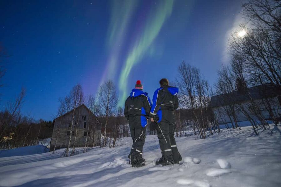 Tromsø: Northern Lights Tour in Glass Minibus with Dinner - Why this Tromsø Northern Lights tour feels cozy, not rushed