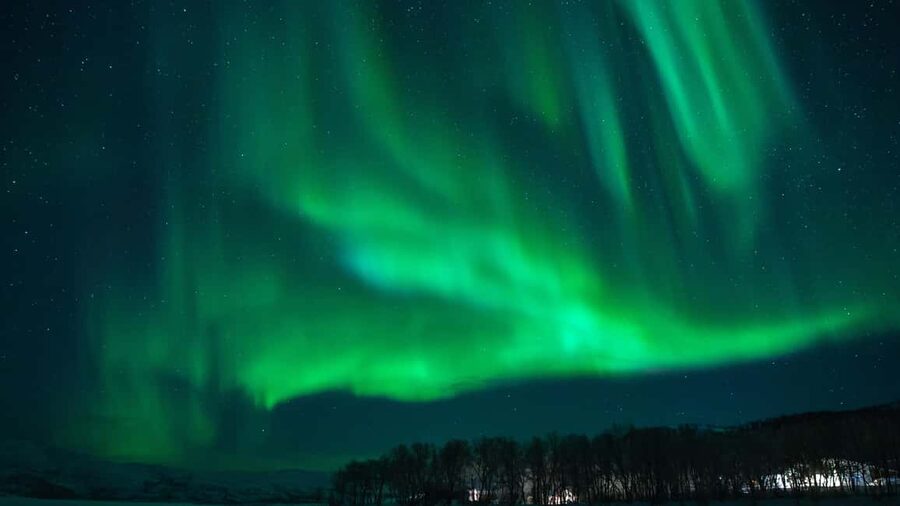 Tromsø: Northern Lights Tour in Glass Minibus with Dinner - Fire stop, marshmallows, and why warm gear changes everything